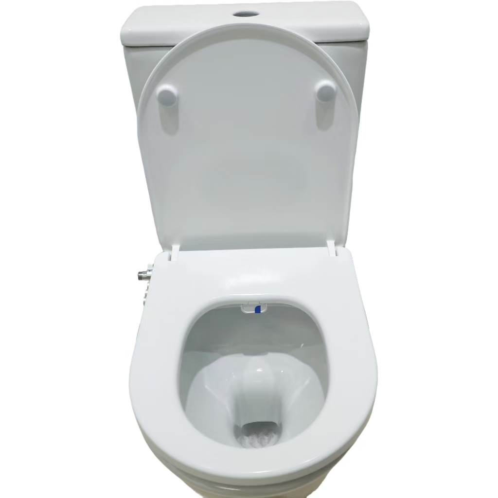 Factory Non Electric Cold Water D shaped Toilet Bidet Seat With Self Cleaning